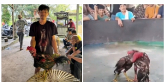 Screenshot_20260215-092956_1